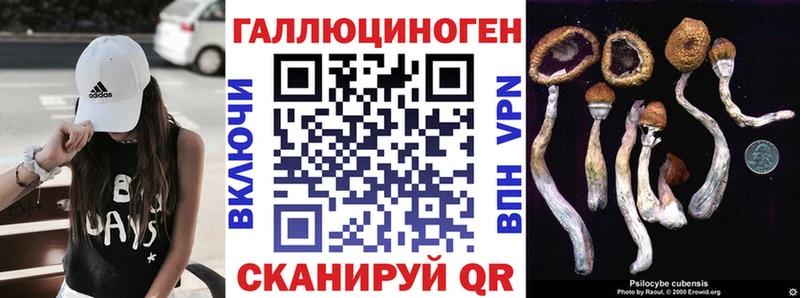 Галлюциногенные грибы мухоморы  Андреаполь 